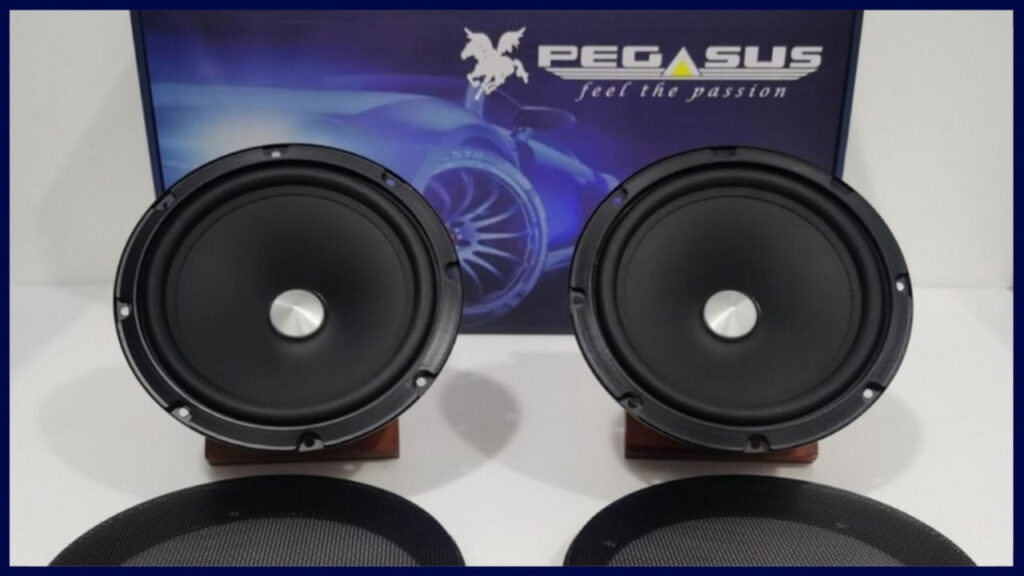 pegasus speaker